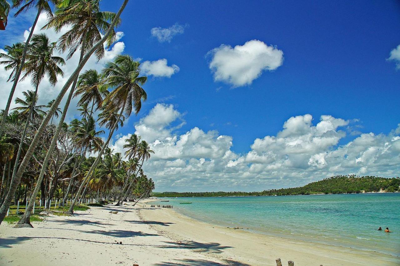 Eco Resort Praia Dos Carneiros By Canto Da Praia ภายนอก รูปภาพ